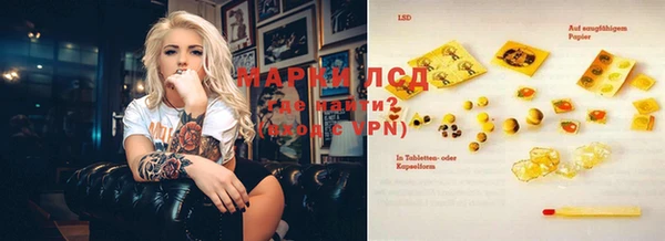 apvp Шали