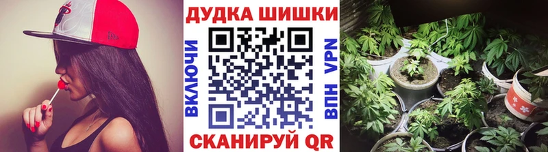 сколько стоит  Куровское  Каннабис индика 